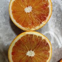 塔罗科血橙橙子皮薄汁多口感甜大量上市