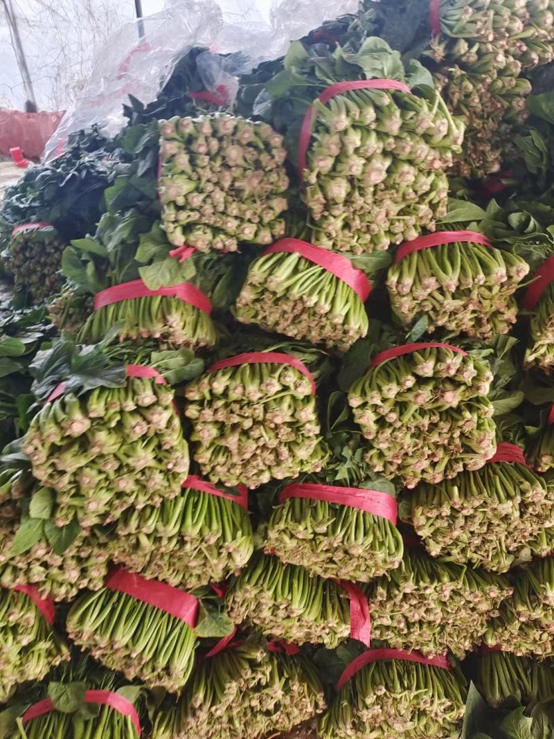 菠菜！陆地菠菜精品菠菜叶大浓绿！品种优越！耐运输