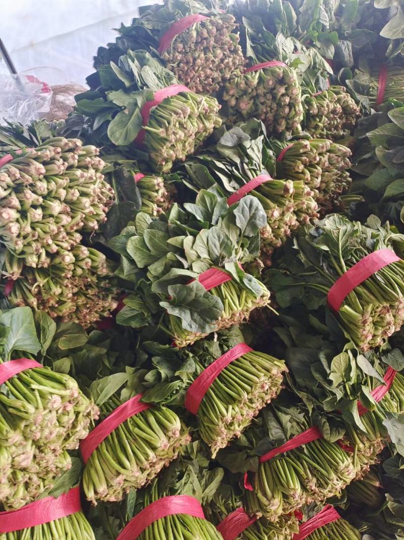 菠菜！陆地菠菜精品菠菜叶大浓绿！品种优越！耐运输