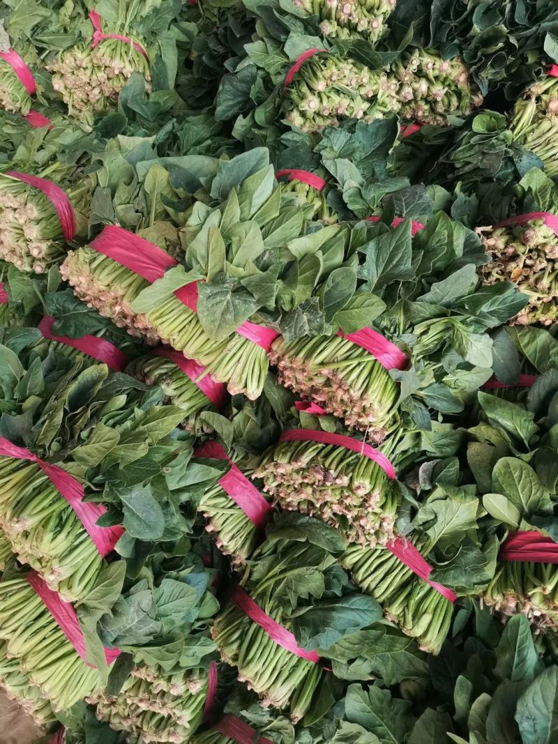菠菜！陆地菠菜精品菠菜叶大浓绿！品种优越！耐运输