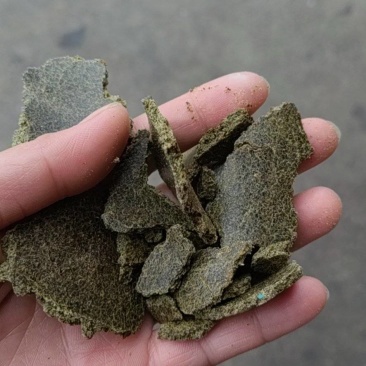冷榨青饼榨油坊