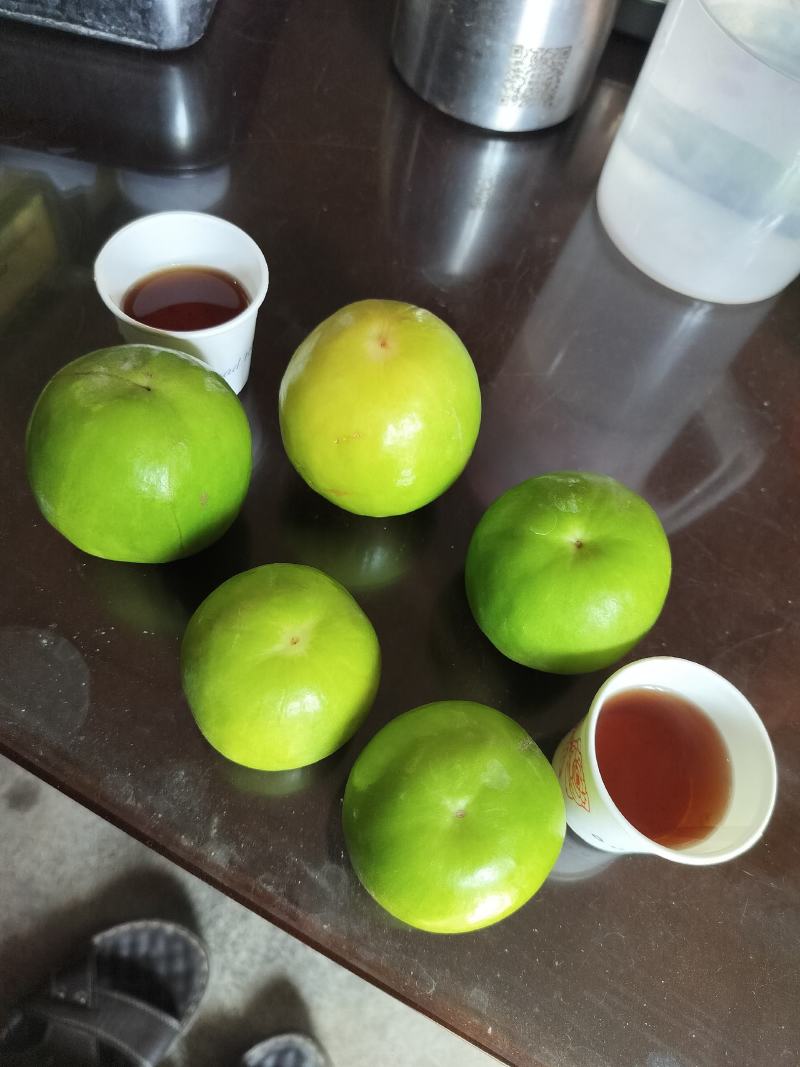 雪梨枣