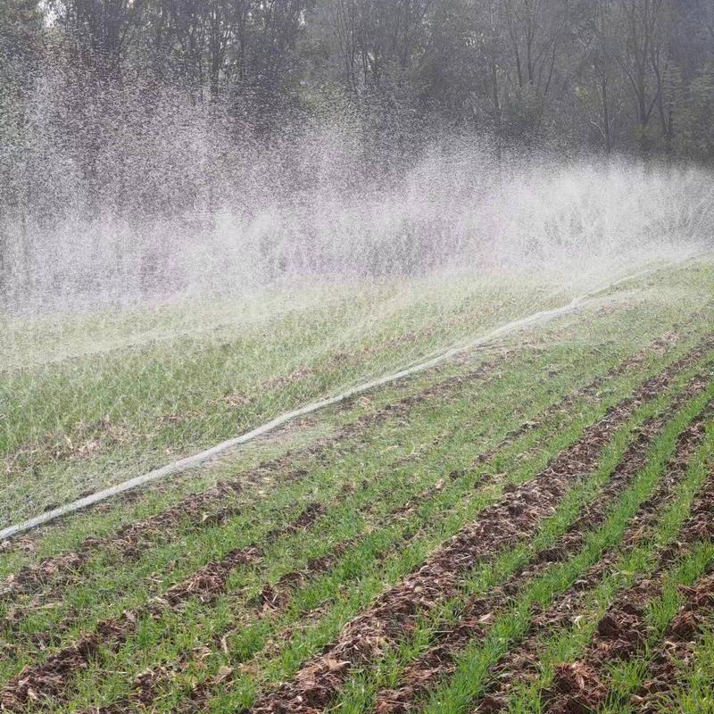 农用微喷带、喷水带，适合小麦、蔬菜灌溉