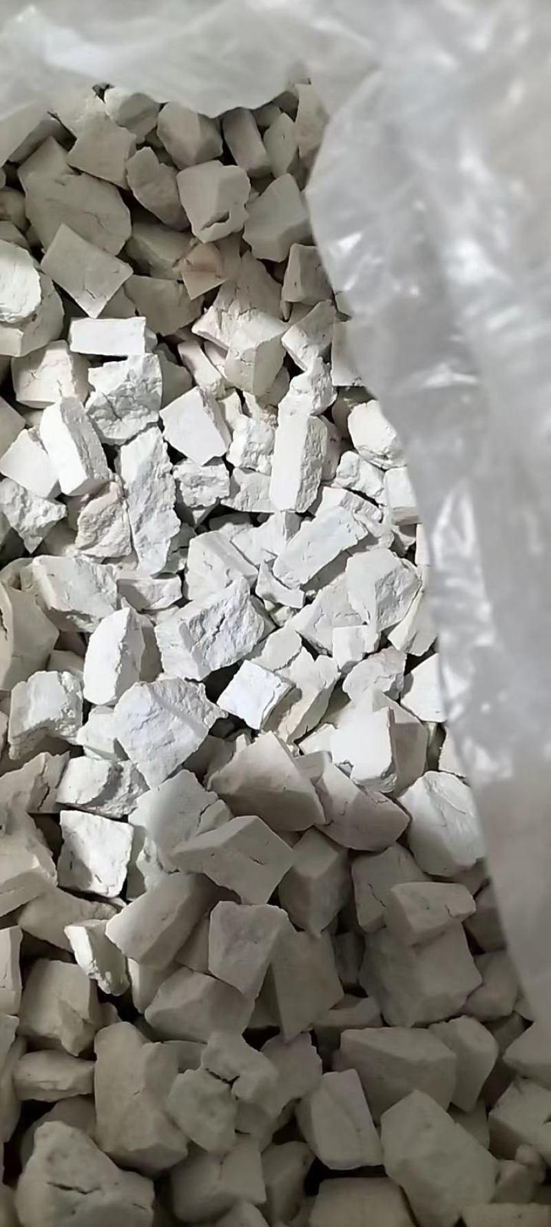 茯苓精品白坨