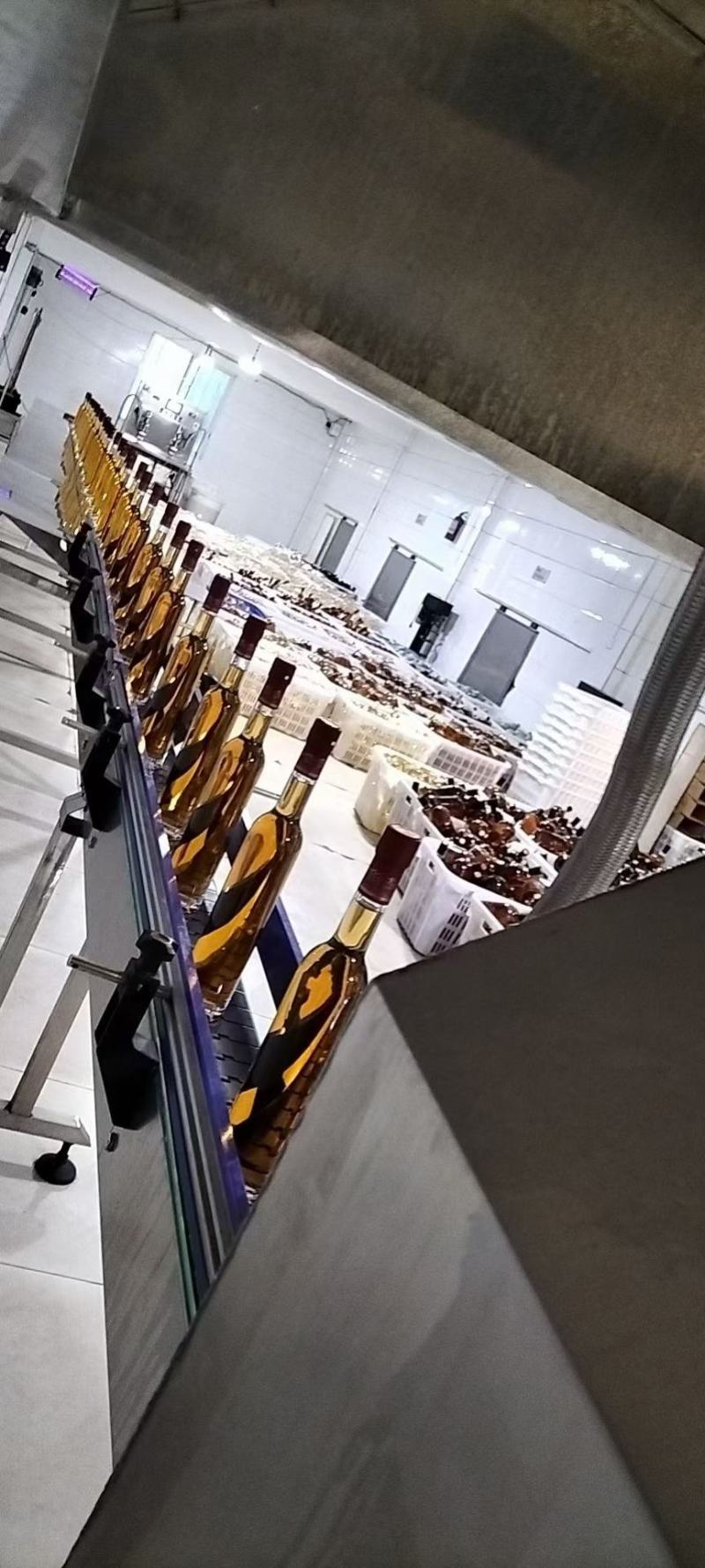 贵州糯米酒桂花酒芒果酸奶酒桃花酒120多个口味