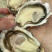 乳山蚝规格定价当天发货，坚持做精品三倍体肥度有保证