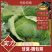 『实力』新鲜圆包菜扁包菜大量上市，保证质量，价格实惠。