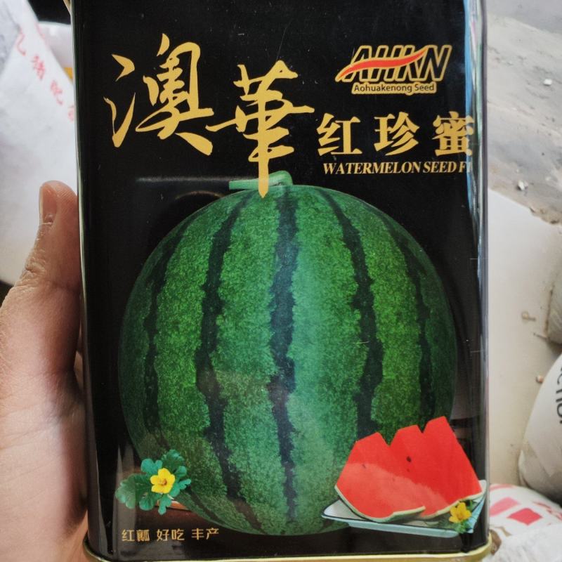澳华红珍蜜西瓜种子，50克.籽少，口感佳，奶香味