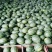 【实力热卖】全美2K小糖丸西瓜🍉皮薄多汁，红瓤黑籽。