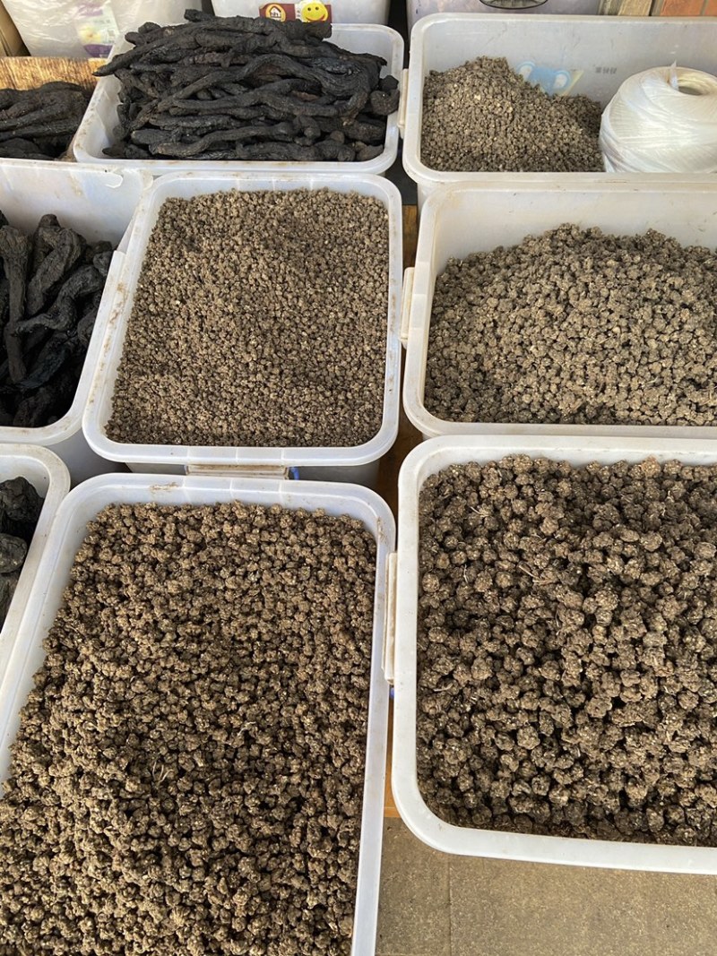 中药材猫爪草中药猫爪草野生新鲜正品水洗猫爪草
