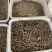 中药材猫爪草中药猫爪草野生新鲜正品水洗猫爪草
