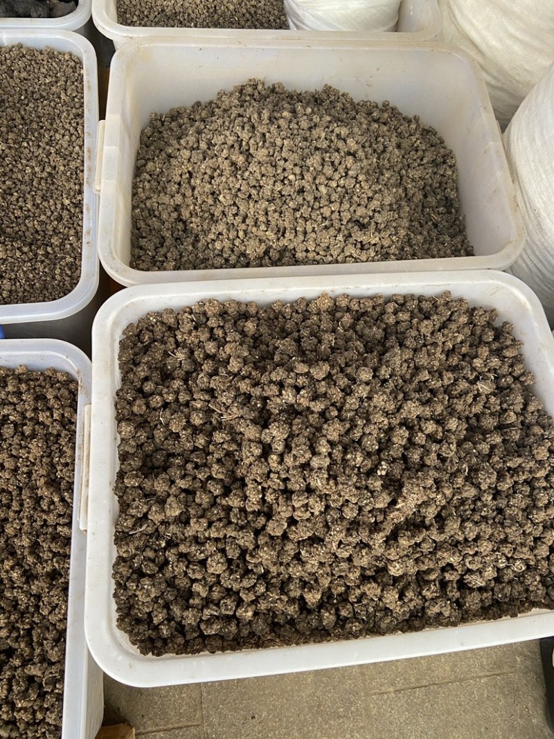 中药材猫爪草中药猫爪草野生新鲜正品水洗猫爪草