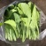 精品小白菜，河北邯郸永年基地，产地直发，大量上市