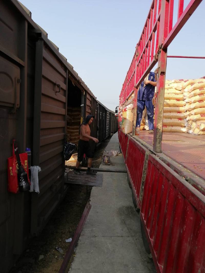 碎玉米，次玉米，量大价格优惠，代办火车