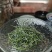 特价清仓恩施富硒玉露茶礼年底特惠抢购