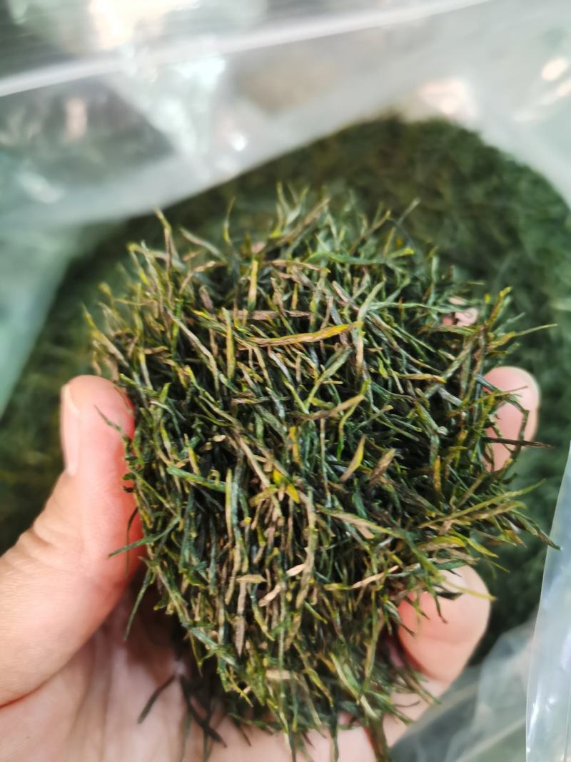 特价清仓恩施富硒玉露茶礼年底特惠抢购