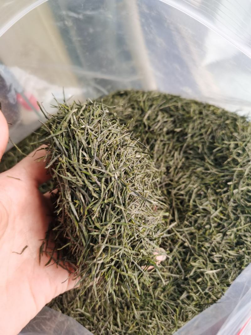 特价清仓恩施富硒玉露茶礼年底特惠抢购