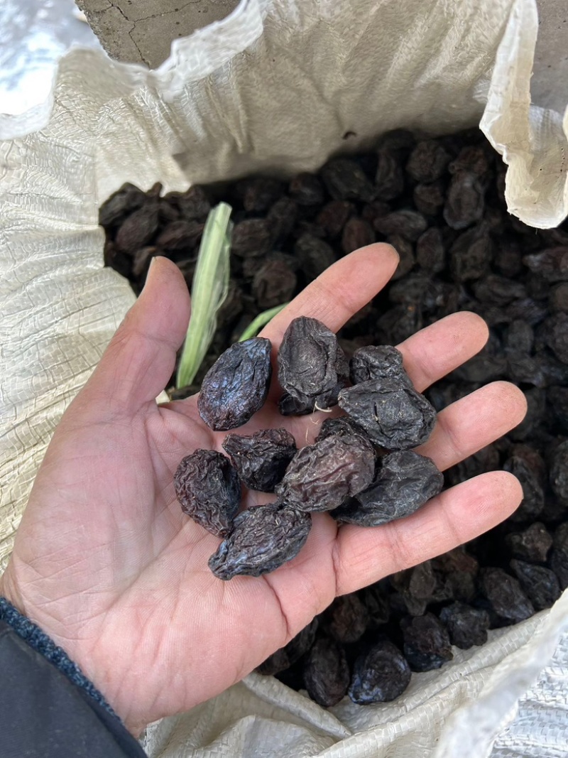新疆西梅干