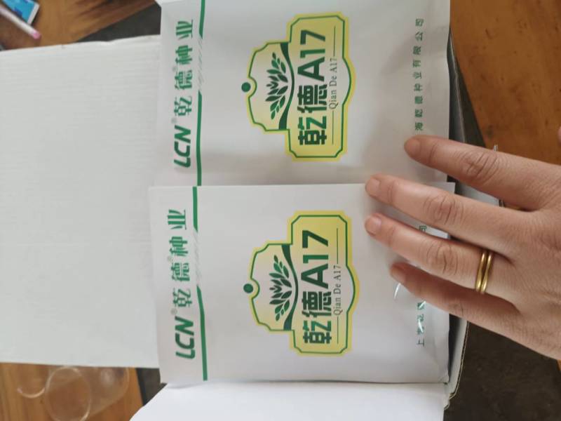 【热销包邮】乾德A17强雌油亮短巴密刺抗病高产种子芽率齐