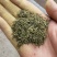 杜仲雄花2025年新茶上市，颜色青花粉足，产地一手货源