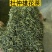 杜仲雄花2025年新茶上市，颜色青花粉足，产地一手货源