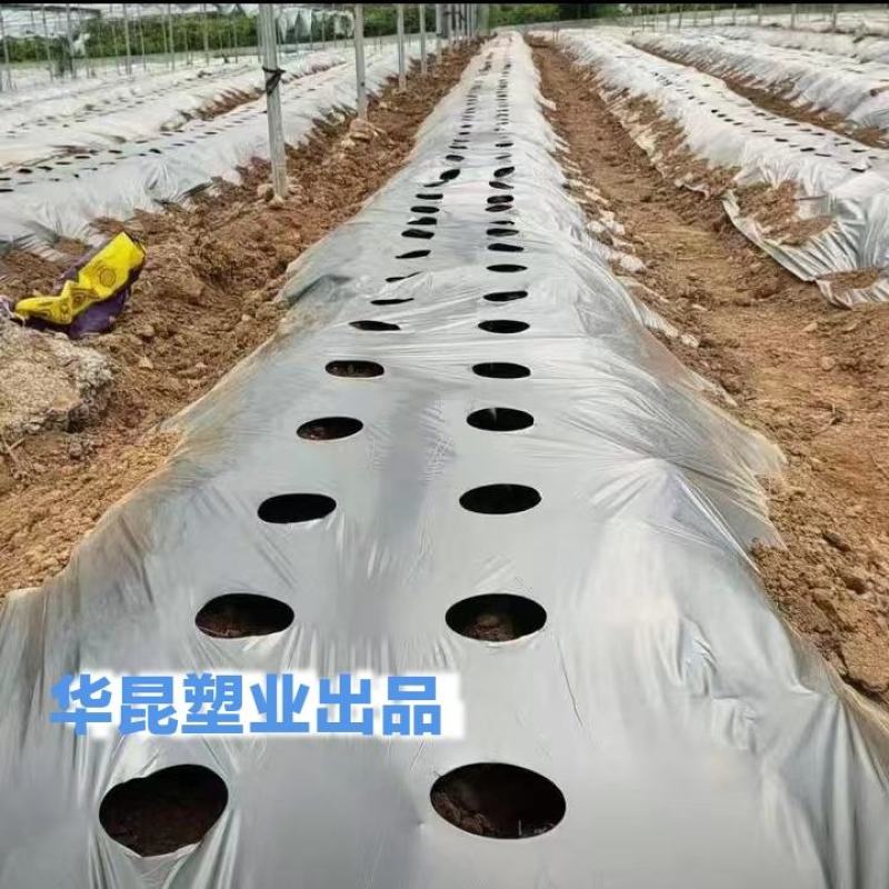生产款打孔地膜黑打孔地膜打孔地膜特殊定制打孔地膜
