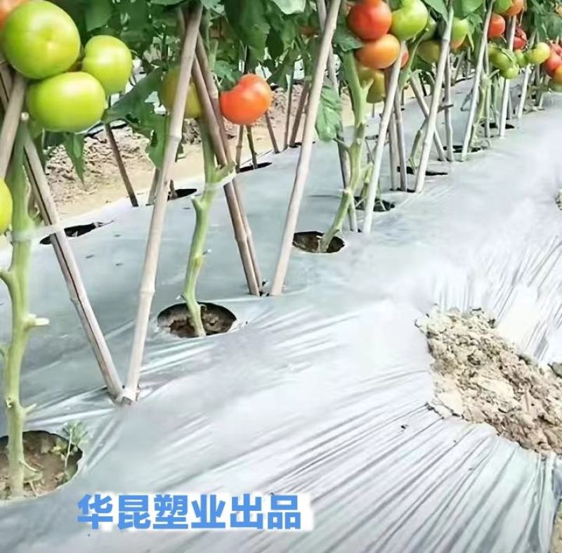 生产款打孔地膜黑打孔地膜打孔地膜特殊定制打孔地膜