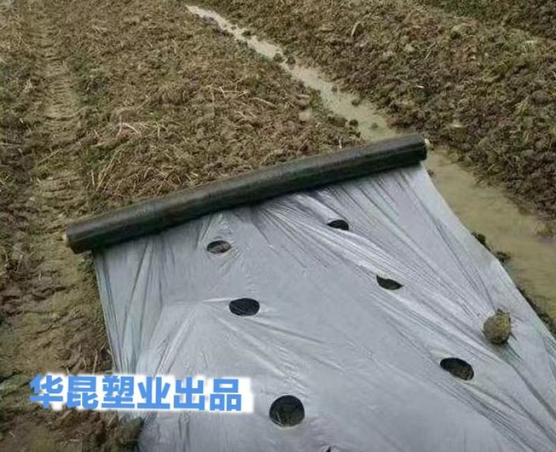 生产款打孔地膜黑打孔地膜打孔地膜特殊定制打孔地膜