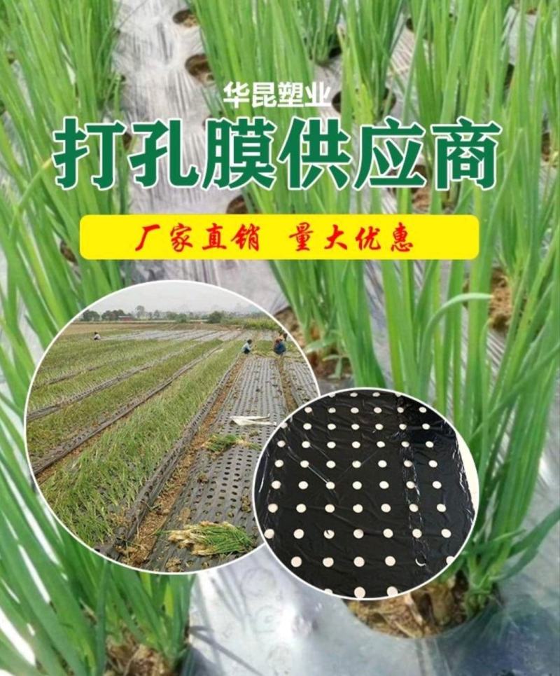 生产款打孔地膜黑打孔地膜打孔地膜特殊定制打孔地膜