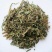 野生品质中药材凤尾草干货500g正品包邮多规格