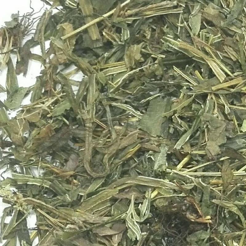 野生品质中药材凤尾草干货500g正品包邮多规格
