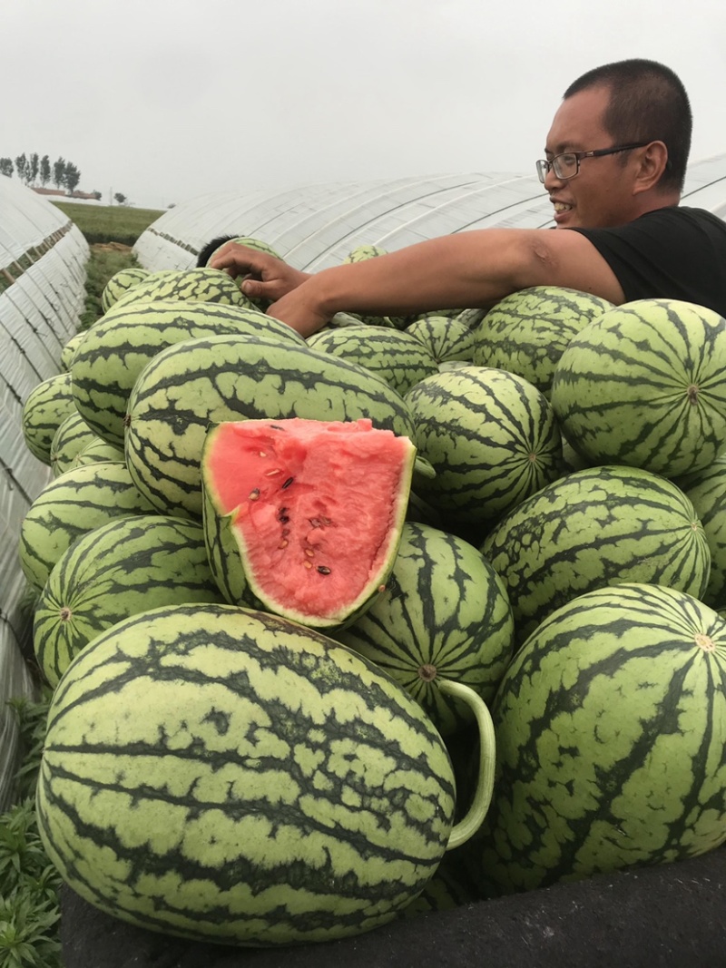 全美2k西瓜，小吊瓜，2K西瓜，小西瓜手剥皮冰淇淋西瓜