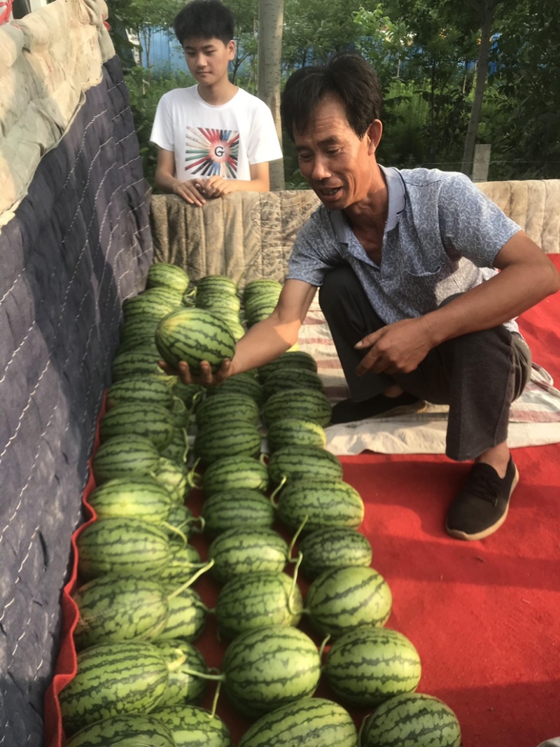 全美2k西瓜，小吊瓜，2K西瓜，小西瓜手剥皮冰淇淋西瓜