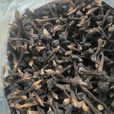 黑皮鸡枞菌干货