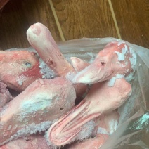 白条鸭头