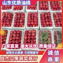【量大】山东原产地油桃中油四号油桃黄肉油桃上市承接电商