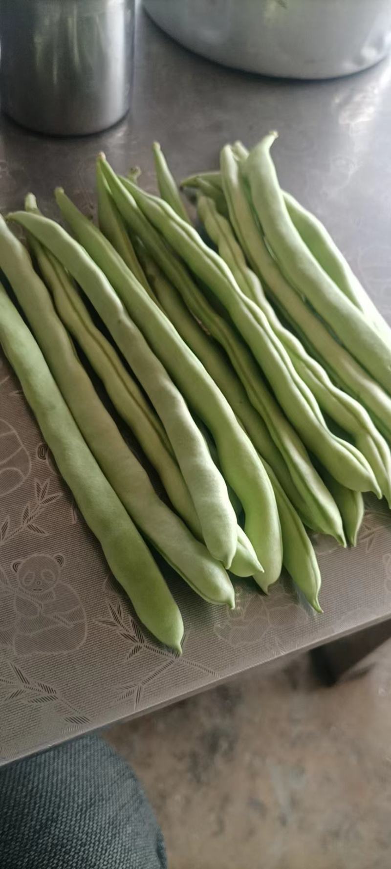 四季豆