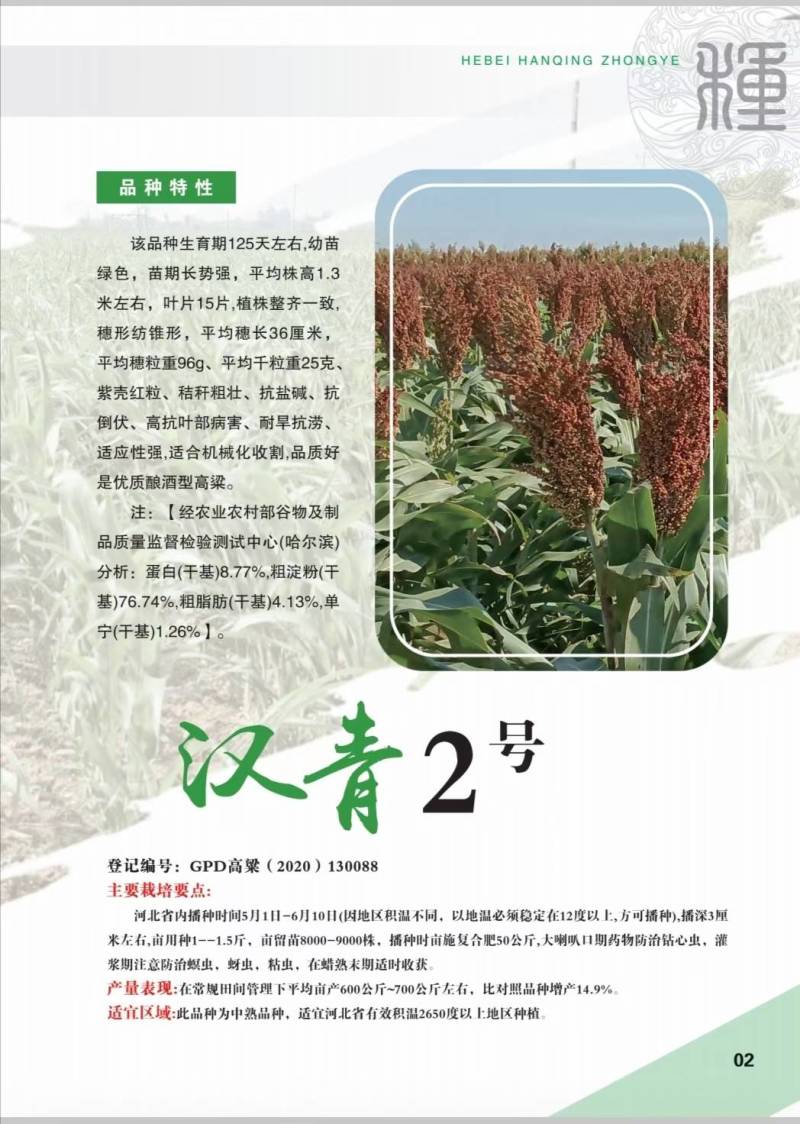 全糯性品种：汉青2号