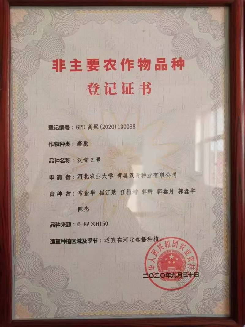全糯性品种：汉青2号