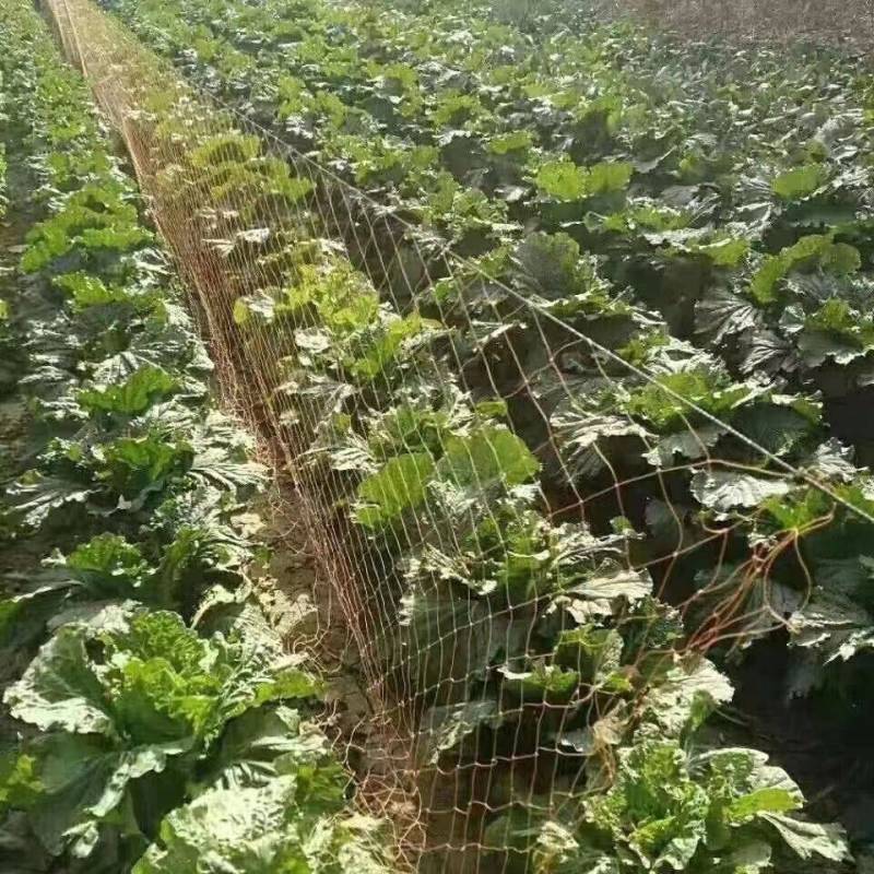 轮胎线菜园果园拦鸡网养殖防护网池塘围栏蔬菜大棚防护网护栏