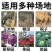 轮胎线菜园果园拦鸡网养殖防护网池塘围栏蔬菜大棚防护网护栏