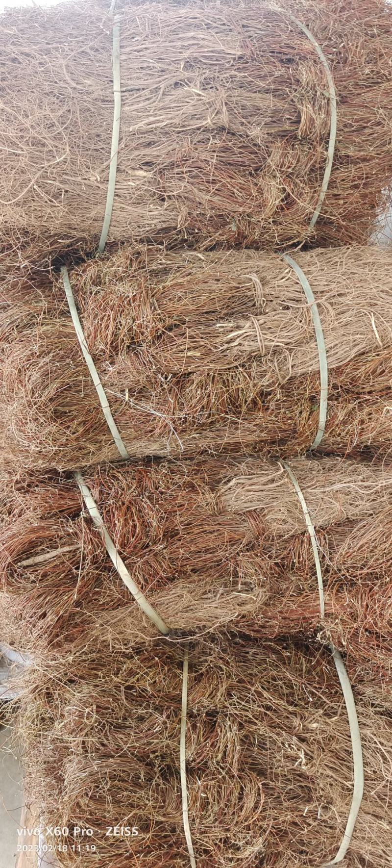 纯小叶鸡骨草