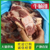 牛腩排精品牛肉养殖基地发货价格美丽可沟通货源充足资质齐全