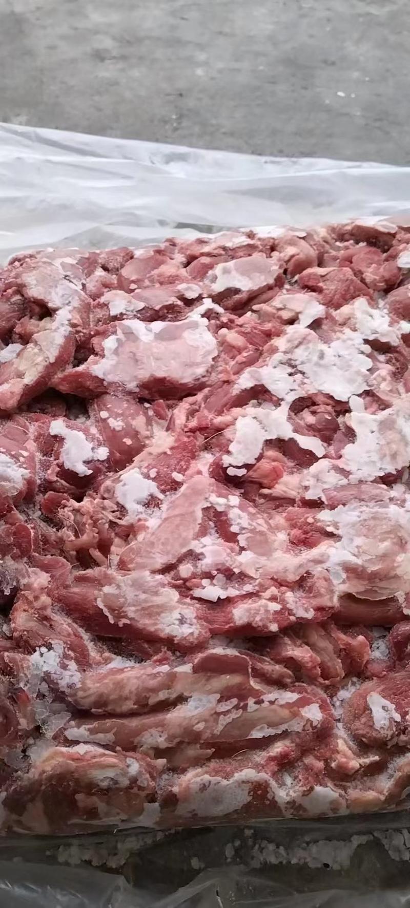 羔羊脖肉精修去油都是大块的脖肉穿串烧烤用