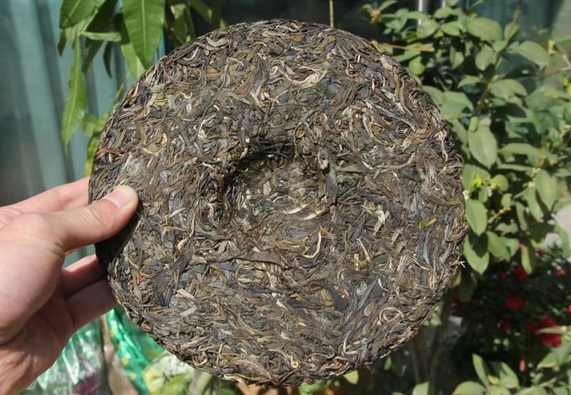 2018年南糯山青饼此茶条索肥壮，品质看得见