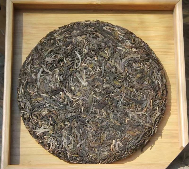 2018年南糯山青饼此茶条索肥壮，品质看得见