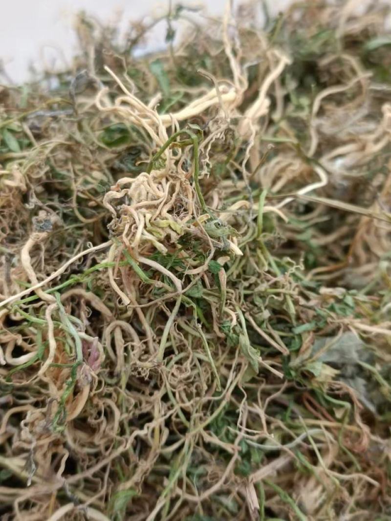 半边莲，手选包检，质量保证，欢迎各位老板选购