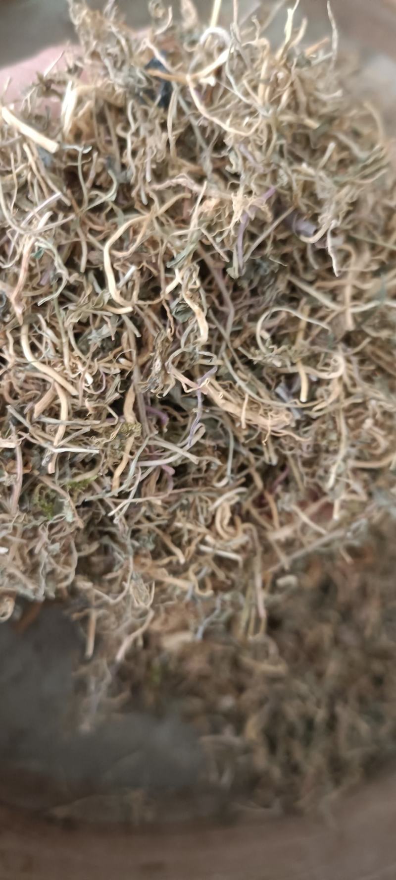 半边莲，手选包检，质量保证，欢迎各位老板选购