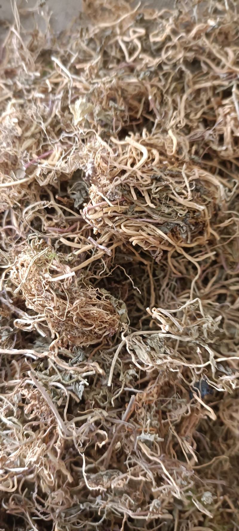 半边莲，手选包检，质量保证，欢迎各位老板选购
