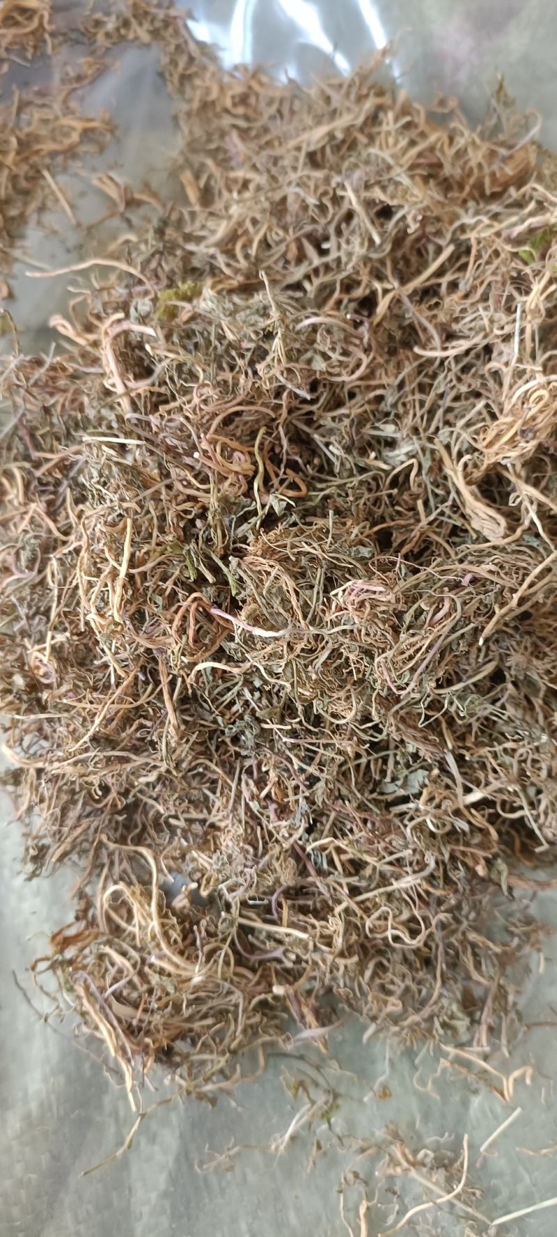 半边莲，手选包检，质量保证，欢迎各位老板选购